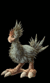 Black Chocobo